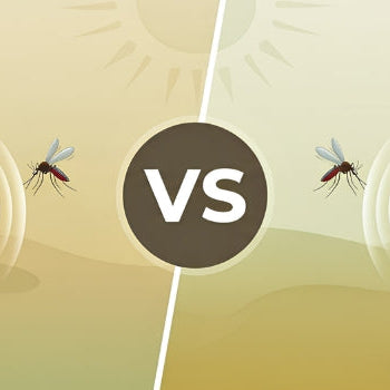 Mosquito Repellent for Kids in the UAE: Spray vs. Roll-On — Which One Actually Works?